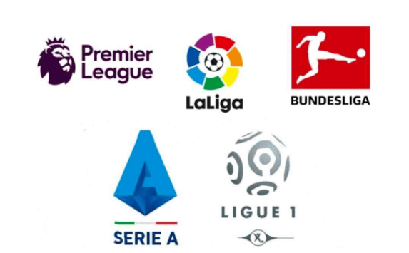 的身体素质 的身体素质